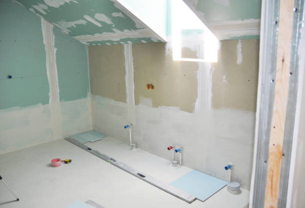 Best Mold-Related Health Consultation  in Auburn Hills, MI