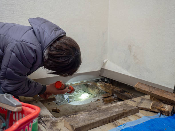 Best Biohazard Mold Removal  in Auburn Hills, MI