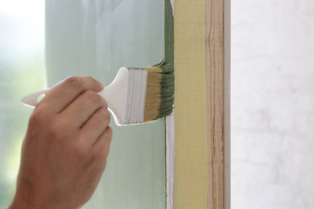 Best Basement Mold Removal  in Auburn Hills, MI