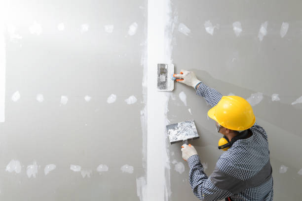 Best Indoor Air Quality Assessment  in Auburn Hills, MI