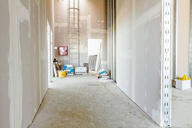 Best HVAC Mold Inspection and Cleaning  in Auburn Hills, MI