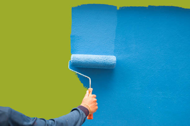 Best Black Mold Removal  in Auburn Hills, MI